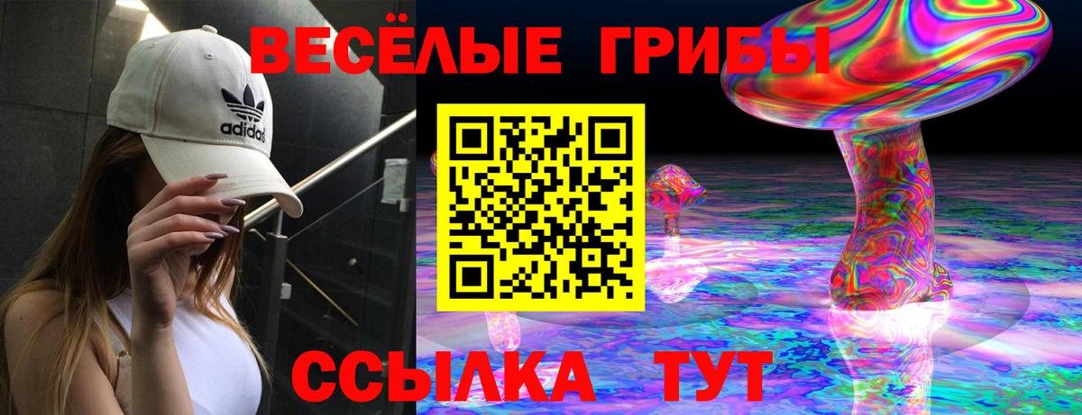 Галлюциногенные грибы прущие грибы Мариинск