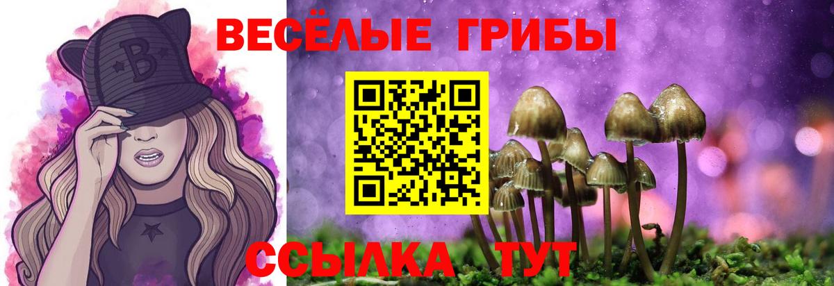 Псилоцибиновые грибы Psilocybine cubensis  Псилоцибиновые грибы MAGIC MUSHROOMS  Вход с VPN  где продают   Мариинск 